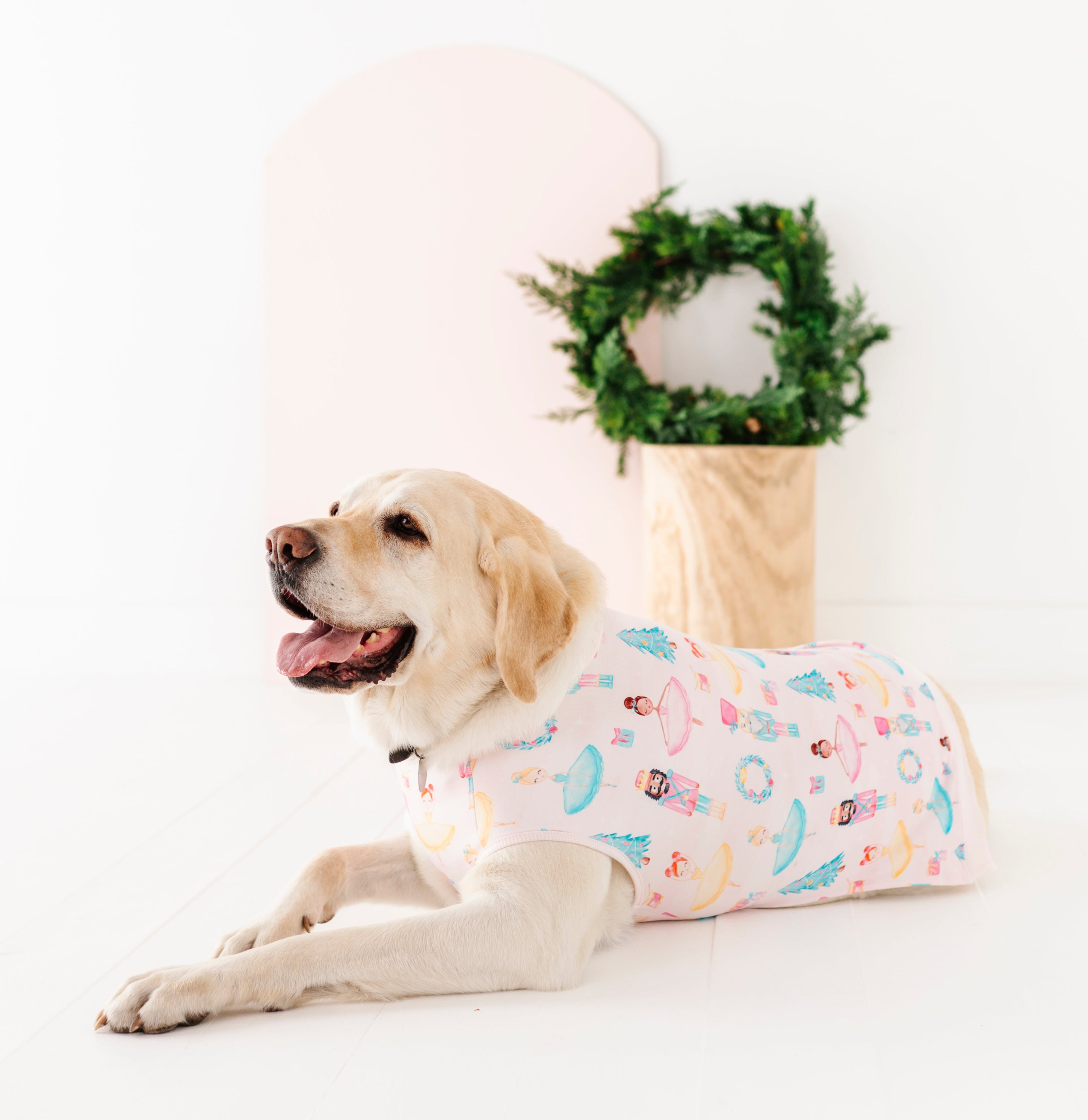 Dog wearing a bamboo Sugarplum sweatshirt with a Christmas wreath in the background